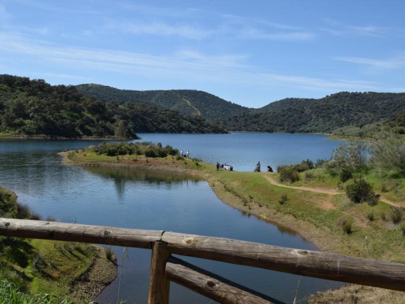 Tejadilla Casita Rural Cerca De Sevilla Con Piscina Ngoại thất bức ảnh